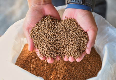 Phê duyệt Đề án Phát triển công nghiệp chế biến thức ăn chăn nuôi